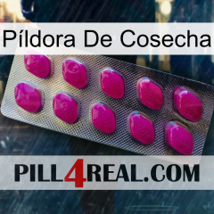 Píldora De Cosecha 09